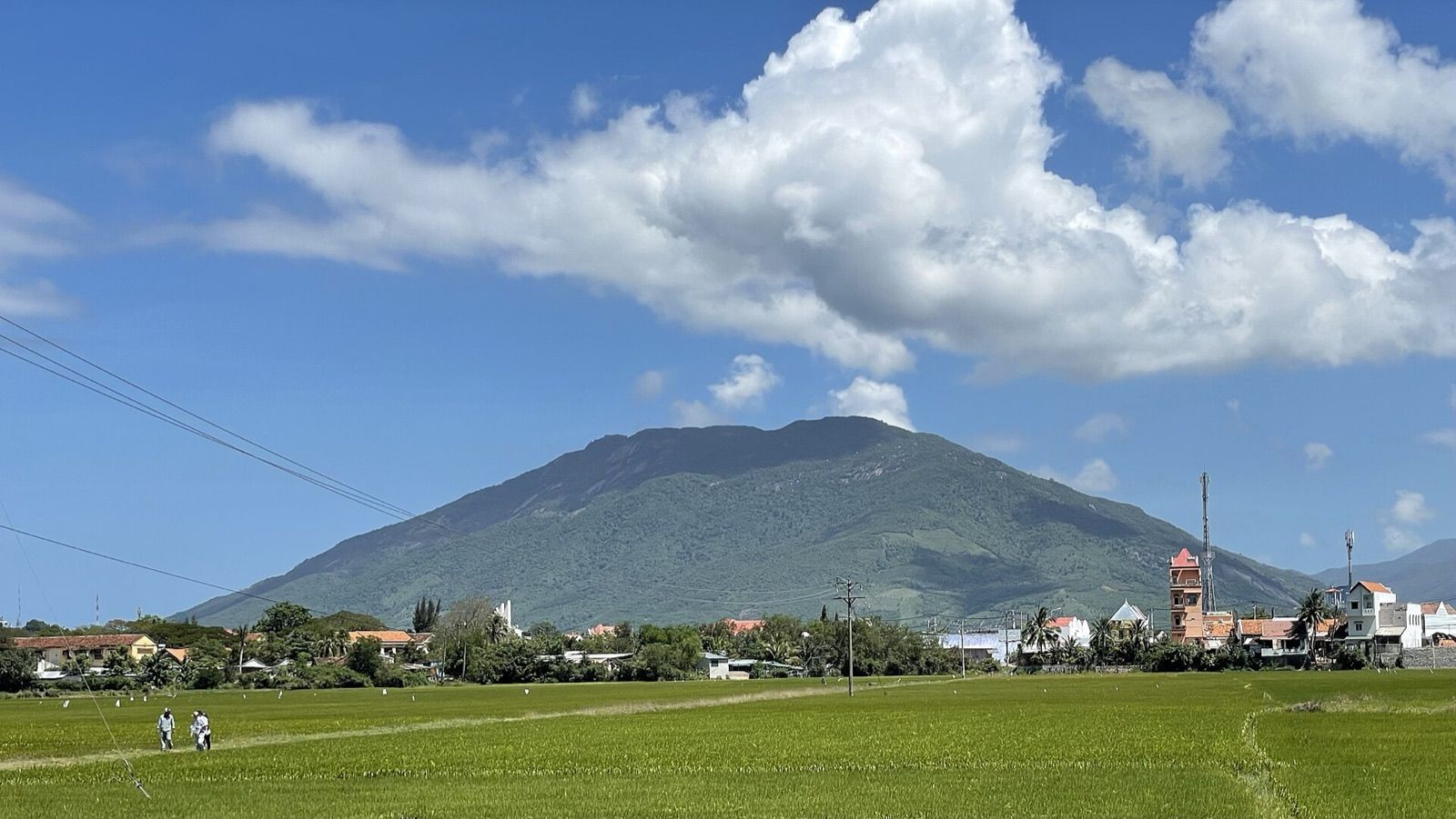 Núi Hòn Hèo nhìn từ cánh đồng Ninh Hòa